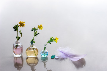 A feather with a pink tinge lies next to the bottles with aromatic oils. Pink, yellow and blue liquid inside. Beautiful reflections on the background. Selective focus. Place for text.