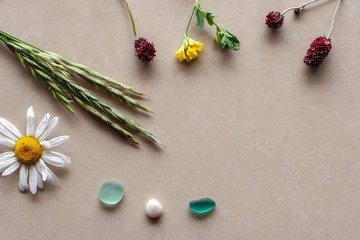 Flat view. Several plants with red ends, green spikelets and a yellow with white flower. White pebble and two green glass pieces. Background brown ceramic tile. There is a place for text.
