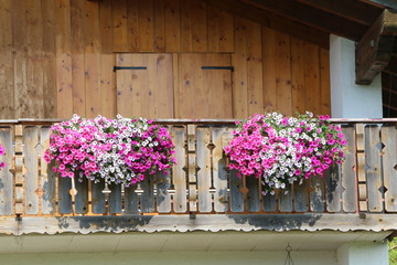 Fototapeta na wymiar Balkonbepflanzung im Sommer im bayrischen Allgäu, Petunien