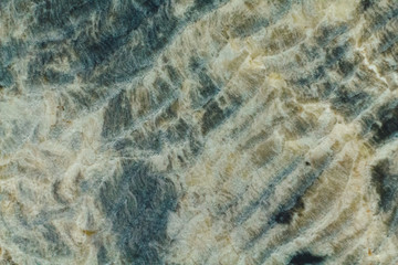 Natural piece of saw cut of petrified wood macro texture