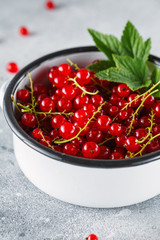 Ripe red currant berries in a bowl close up. Fresh ripe red currant on light grey background
