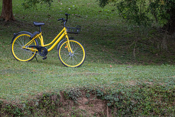 Fototapeta na wymiar Bike standing alone in the park