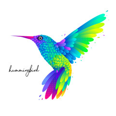 Flying colorful hummingbird bird isolated vector illustration with colorful feathers and wings © Element_Paradise