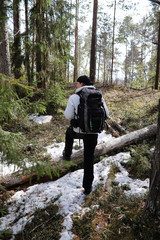 Obraz premium A man is a tourist in a pine forest with a backpack. A hiking trip through the forest. Pine reserve for tourist walks. A young man a hike in the spring.