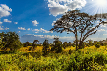 Amboseli Park is the most visited park