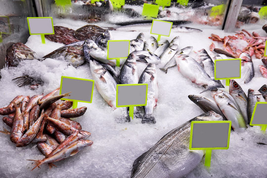 Fresh sea fish on ice and price tags on the market counter. Close up.