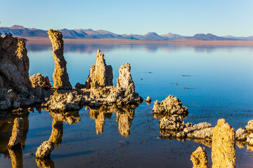 The columns of 