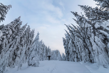 Small silhouetteof a tourist hiker standing with raised arms on mountain slope with snow covered spruce trees and clear sky. Tourism and winter mountain sports concept.