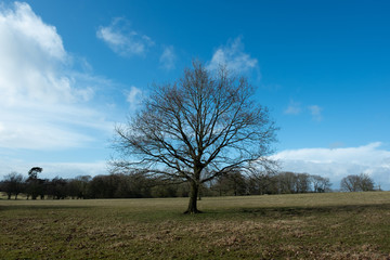 Obraz premium winter landscape country estate england uk
