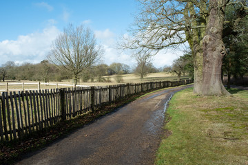 Fototapeta premium winter landscape country estate england uk