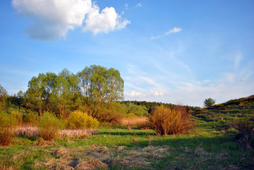 Obraz premium Landscape with green meadow and trees on it, yellow reeds, blue cloudy sky on horizon, sunny cloudy day