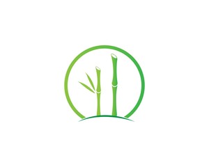 Obraz premium Bamboo with green leaf vector icon template