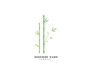 Fototapeta na wymiar Bamboo with green leaf vector icon template