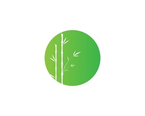  Bamboo with green leaf vector icon template