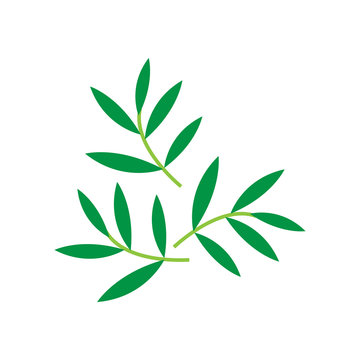 bamboo leaf icon logo vector design template © Twomine