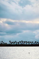 Dark silhouettes of palm trees, sea and amazing cloudy sky at sunset. Distant view. Minimalist landscape wallpaper, background.