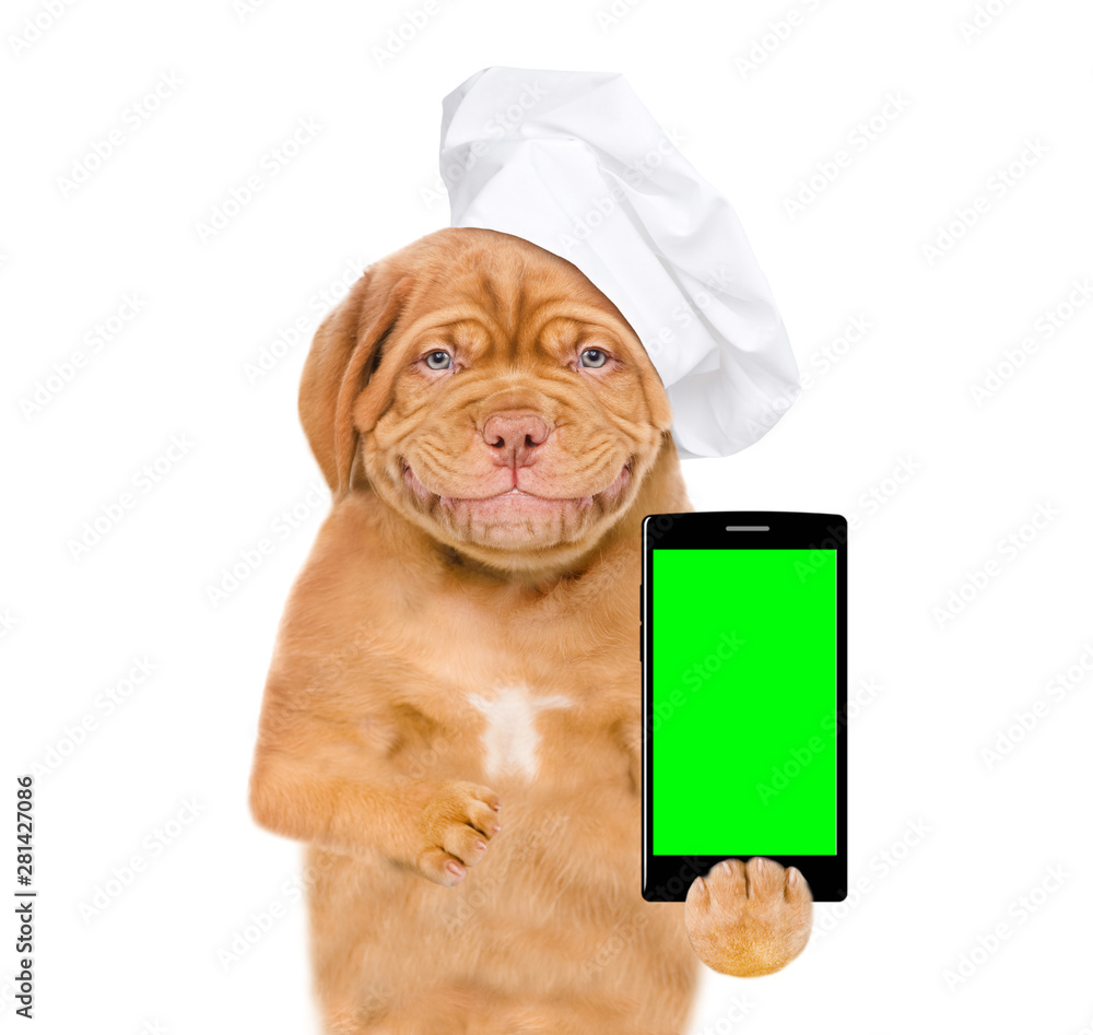 Poster Smiling puppy in chef's hat with smartphone. isolated on white background