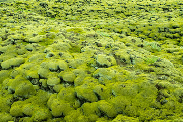 Lava fields moss covered in Skaftareldahraun, Iceland