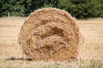 Meule de paille