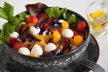 Salad with mozzarella, cherry tomatoes, basil and lettuce