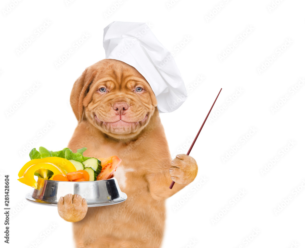 Poster smiling puppy in chef's hat with a bowl of vegetables showing thumbs up. isolated on white backgroun
