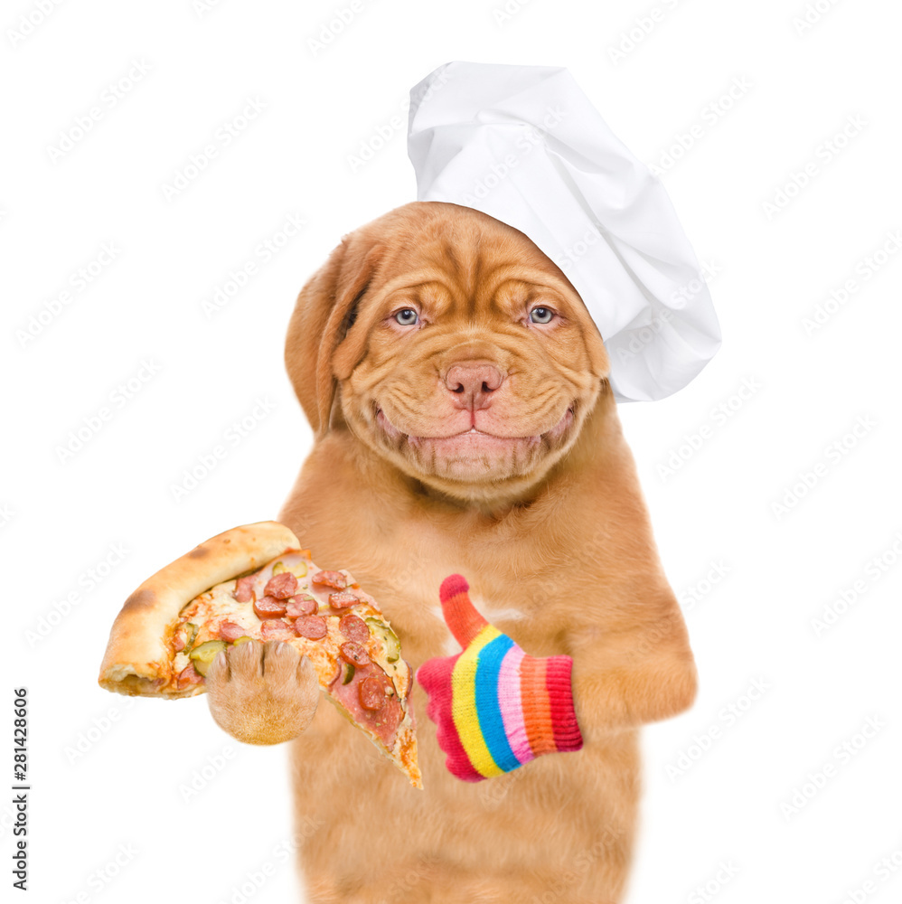 Poster smiling puppy in chef's hat with pizza showing thumbs up. isolated on white background