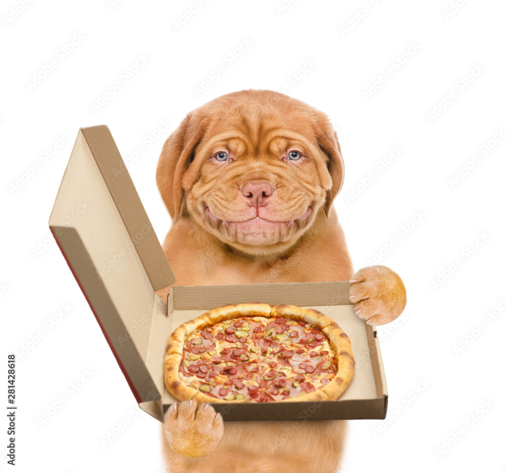 Aufkleber smiling puppy holding a box with pizza. isolated on white background