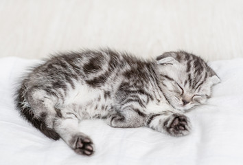 Baby kitten sleeping on the bed at home