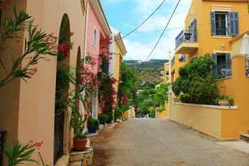 traditional greek housedoor and flowers