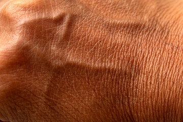 blood vessels brown leather texture of a skin