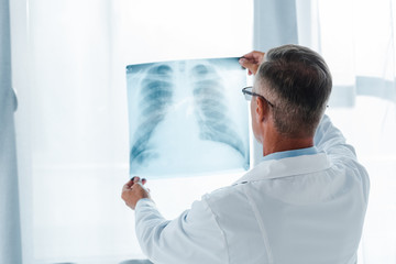 Fototapeta premium back view of doctor in white coat holding x-ray in hospital