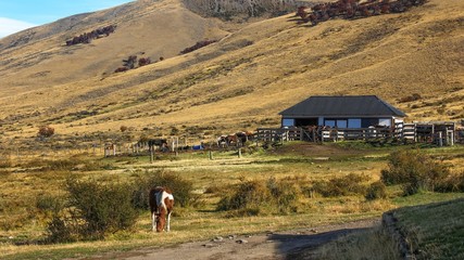 Scenic view to lonely horse ranch with typical natural  landscape on background ...nearby Los Glaciares National Park in El Calafate,Patagonia, Argentina,Apr.2015