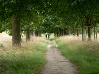 gardens and estate packwood house warwickshire england uk