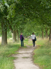 gardens and estate packwood house warwickshire england uk