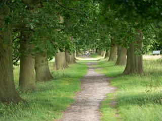 gardens and estate packwood house warwickshire england uk