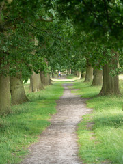 gardens and estate packwood house warwickshire england uk