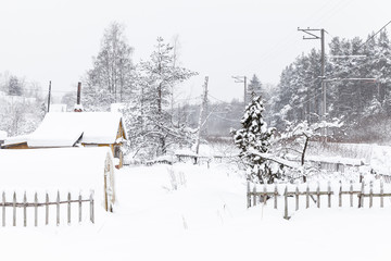 Winter rural landscape with snowy trees