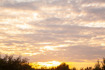 Beautiful sunset with orange sky and trees. Beautiful sunset. Beautiful sky at sunset with cumulus clouds background