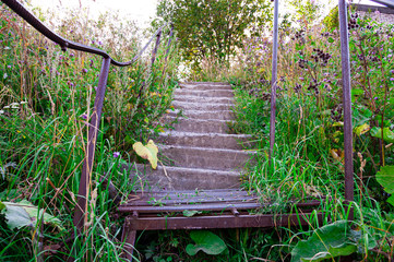 Old concrete staircase climbing up. Grass around