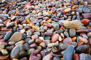 Close up view of beautiful pastel colored wet pebbles at the seashore