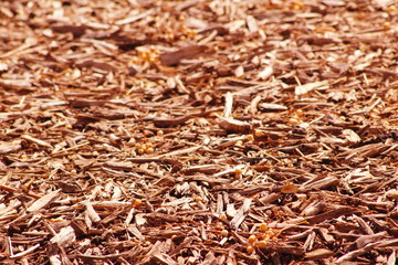 SUELO CUBIERTO DE VIRUTAS DE MADERA SECA, seco, madera, macro, árbol, con textura, close-up,...