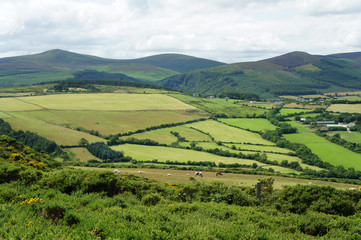 Landscapes of Ireland.Walk through the Dublin hills.