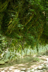 Obraz premium sheer rock covered with moss