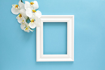 Beautiful white orchid (Phalaenopsis) flowers, wooden white photo frame on blue background. Top view, flat lay. Tropical flower, branch of orchid close up. Space for text. Flowers Card 
