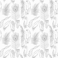 feather seamless pattern hand drawn sketch, peacock, jay