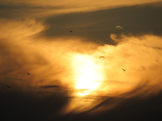 tramonto 