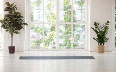 Contemporary room with yoga mat potted plants sunlight through window
