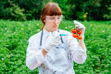 A scientist biologist in a lab coat and protective gloves introduces a blue liquid into the...