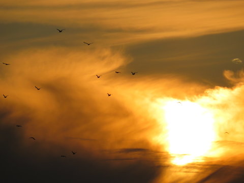tramonto Belgrado