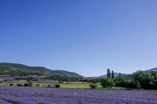 Provence im Sommer